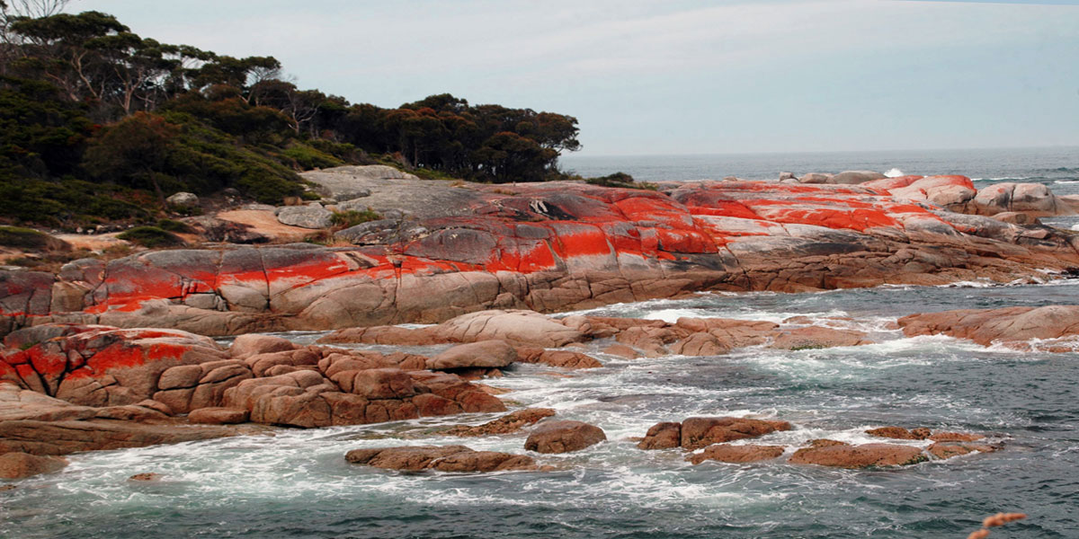 201501_Bicheno2_Tasmanien_DSC_7976