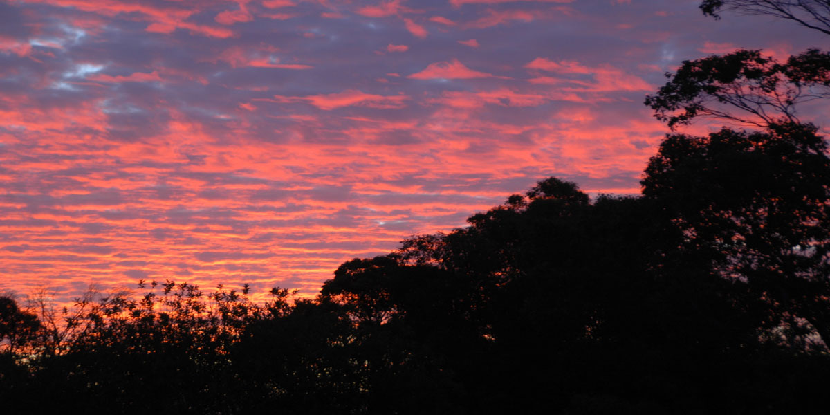 201501_Bruny_Island_DSC_3971