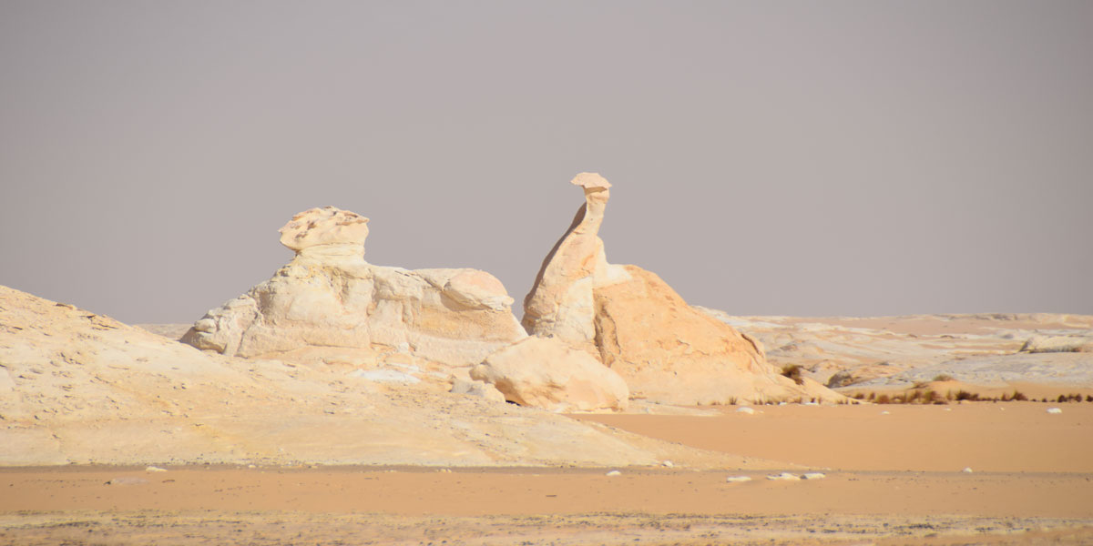 201403_White_Desert07